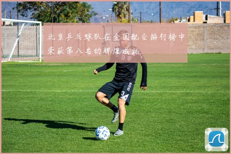北京乒乓球队在全国配合排行榜中荣获第八名的辉煌成就