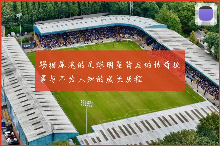 踢猪尿泡的足球明星背后的传奇故事与不为人知的成长历程