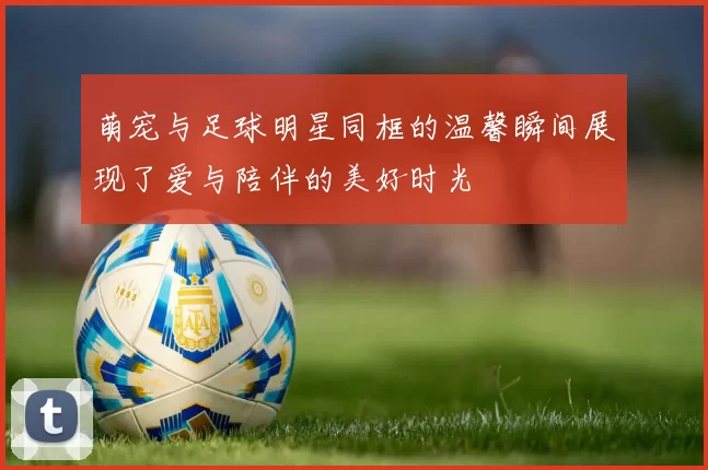 萌宠与足球明星同框的温馨瞬间展现了爱与陪伴的美好时光