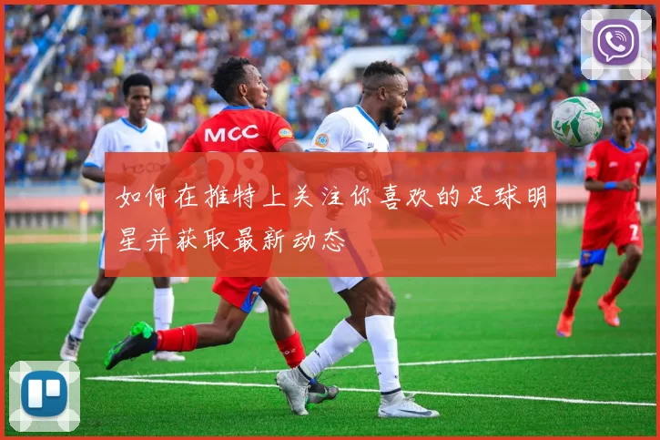 如何在推特上关注你喜欢的足球明星并获取最新动态