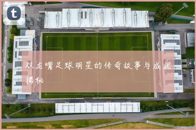 双龙嘴足球明星的传奇故事与成就揭秘
