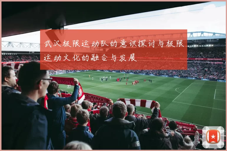武汉极限运动队的意识探讨与极限运动文化的融合与发展