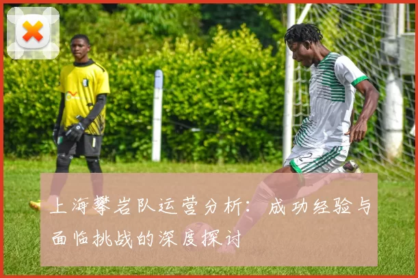 上海攀岩队运营分析：成功经验与面临挑战的深度探讨