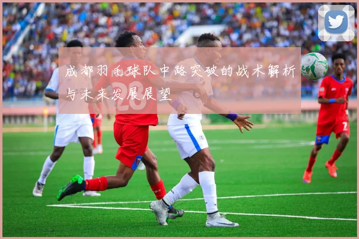 成都羽毛球队中路突破的战术解析与未来发展展望