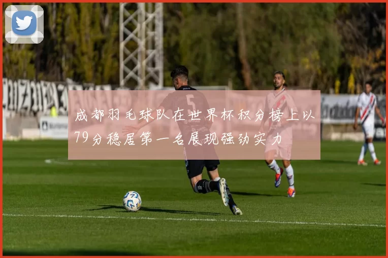 成都羽毛球队在世界杯积分榜上以79分稳居第一名展现强劲实力
