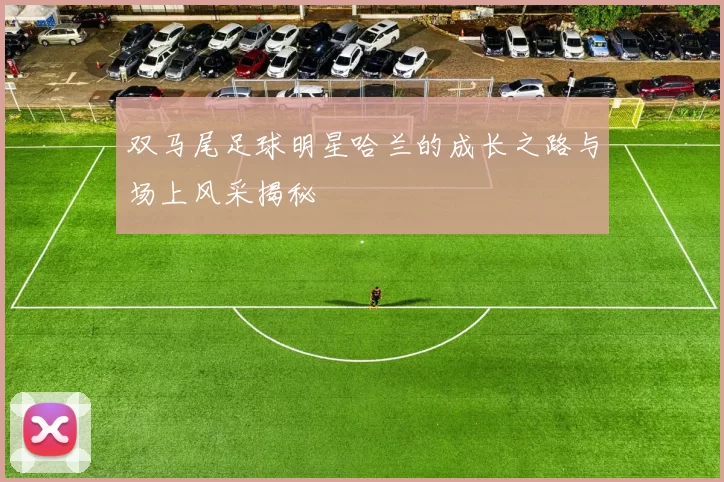 双马尾足球明星哈兰的成长之路与场上风采揭秘