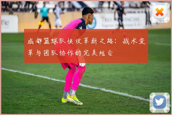 成都篮球队快攻革新之路：战术变革与团队协作的完美结合