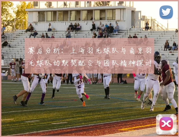 赛后分析：上海羽毛球队与南京羽毛球队的默契配合与团队精神探讨