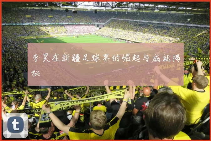 李昊在新疆足球界的崛起与成就揭秘