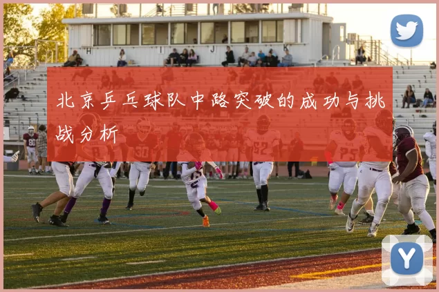 北京乒乓球队中路突破的成功与挑战分析