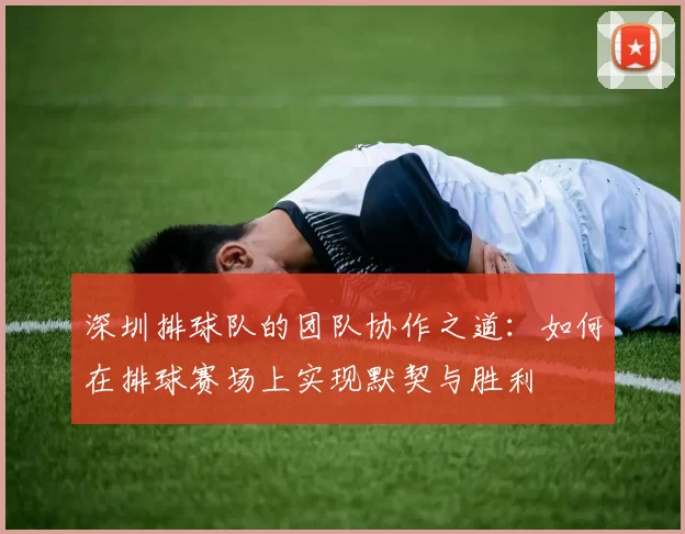 深圳排球队的团队协作之道：如何在排球赛场上实现默契与胜利