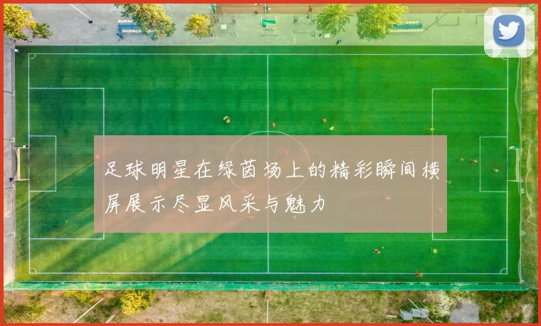 足球明星在绿茵场上的精彩瞬间横屏展示尽显风采与魅力