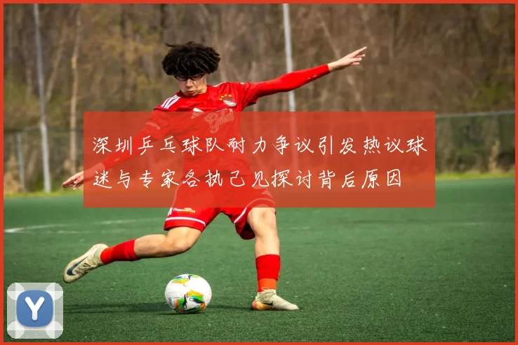 深圳乒乓球队耐力争议引发热议球迷与专家各执己见探讨背后原因
