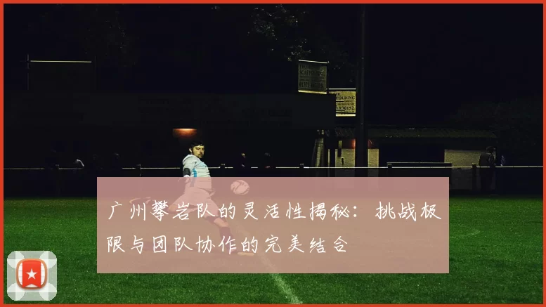 广州攀岩队的灵活性揭秘：挑战极限与团队协作的完美结合