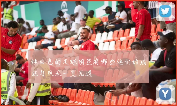 纯白色的足球明星有哪些他们的成就与风采一览无遗