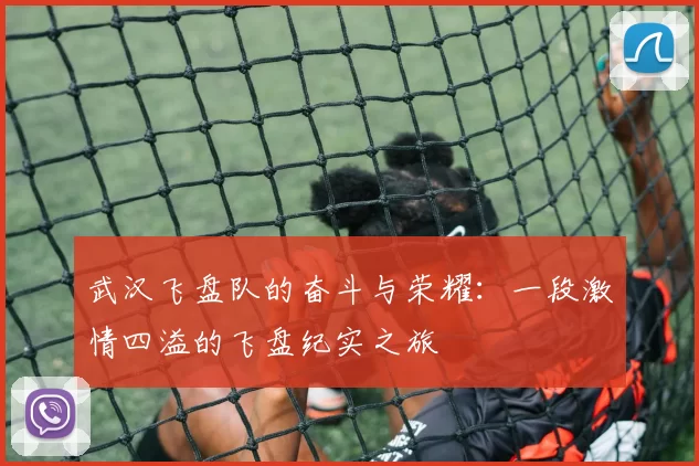 武汉飞盘队的奋斗与荣耀：一段激情四溢的飞盘纪实之旅