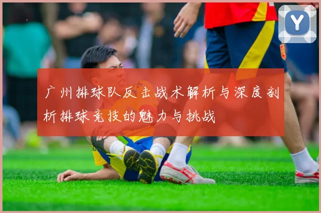 广州排球队反击战术解析与深度剖析排球竞技的魅力与挑战