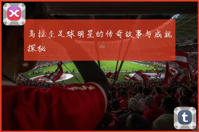 乌拉圭足球明星的传奇故事与成就探秘