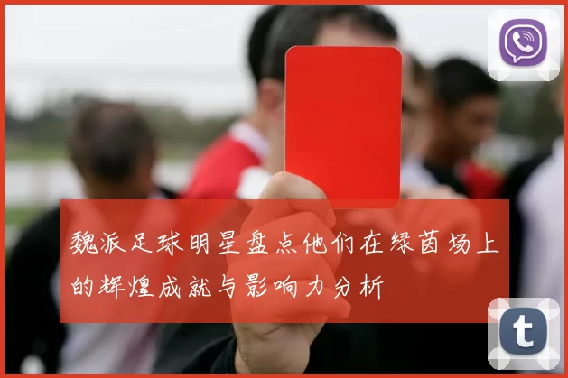 魏派足球明星盘点他们在绿茵场上的辉煌成就与影响力分析